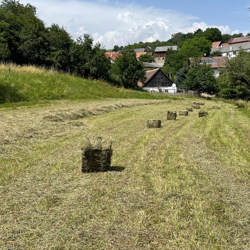 Wiesenheu - später 1. Schnitt